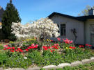 Thygesen Bed & Breakfast in Søborg