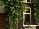Bed&Breakfast Boven IJ in Amsterdam
