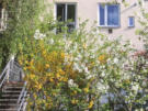 Monteurwohnung Steiner in Linz
